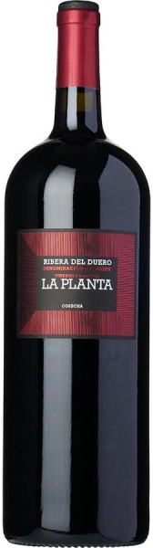 Вино Arzuaga Navarro, "La Planta", Ribera del Duero DO, 2021, 1.5 л