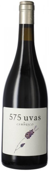 Вино Cambrico, "575 Uvas de Cambrico", Sierra de Salamanca DOP, 2017