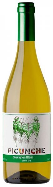 Вино Bodegas y Vinedos de Aguirre, "Picunche" Sauvignon Blanc, Central Valley, 2021