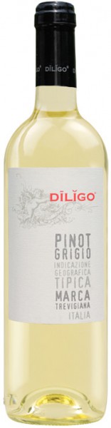 Вино Anna Spinato, Pinot Grigio "Diligo" IGT, 2014, 375 мл