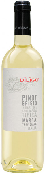 Вино Anna Spinato, Pinot Grigio "Diligo" IGT, 2016, 0.375 л