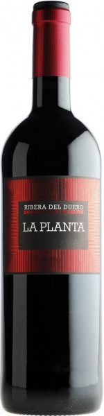 Вино Arzuaga Navarro, "La Planta", 2017
