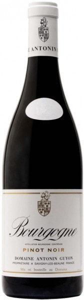 Вино Bourgogne AOC Pinot Noir, 2013
