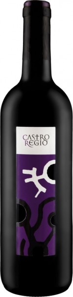 Вино "Castro Regio" Red Dry