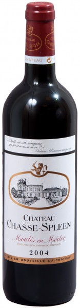 Вино Chateau Chasse Spleen Moulis-en-Medoc AOC Cru Bourgeois 2004