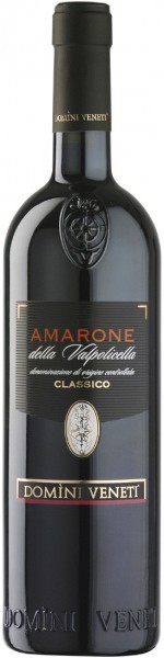 Вино Domini Veneti, Amarone della Valpolicella Classico DOC, 2006