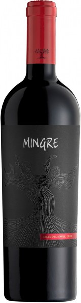 Вино J.Bouchon, "Mingre" Premium Assemblage, Maule Valley DO, 2009