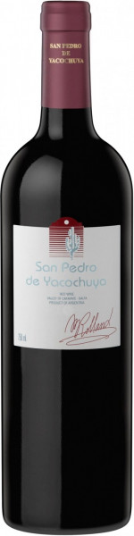 Вино "San Pedro de Yacochuya" Red Wine, 2014