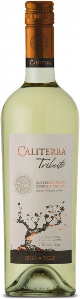 Вино Sauvignon Blanc Tributo DO 2008