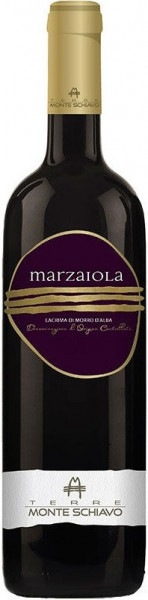 Вино Terre Monte Schiavo, "Marzaiola", Lacrima di Morro d'Alba DOC, 2016