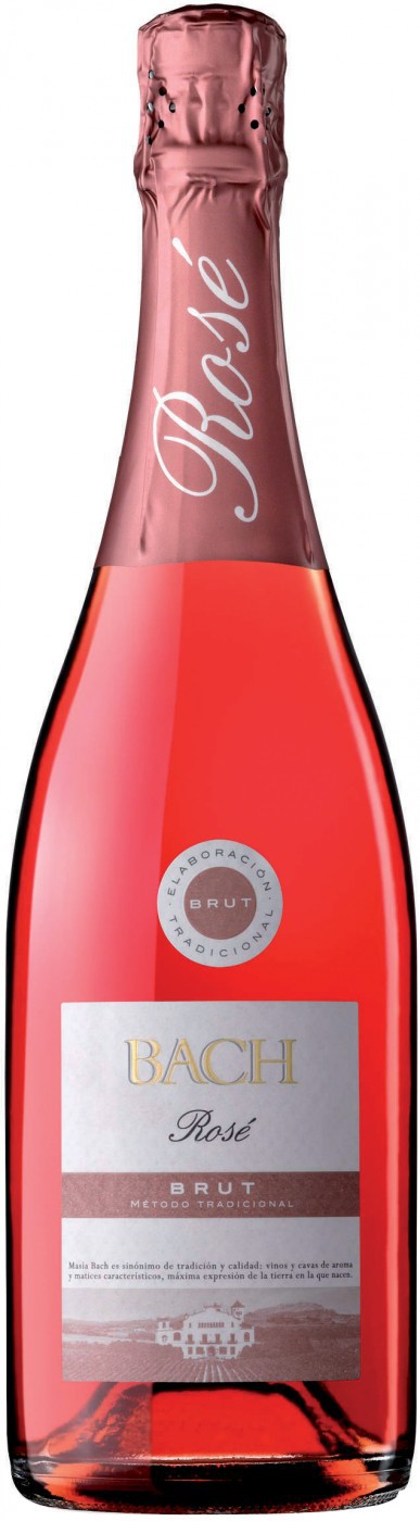 Розовое вино брют. Игристое вино Cava Rose. Cava Brut Rose шампанское. Игристое Cava брют розовое. Брют Cava Rosa шампанское Испания.