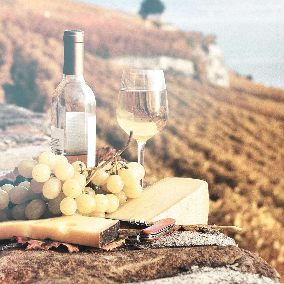 История виноделия в Италии